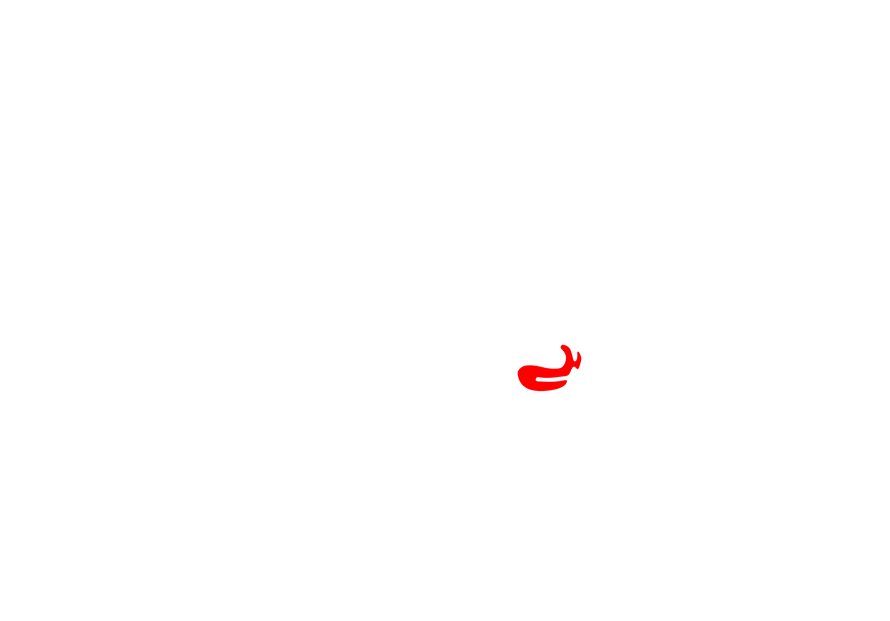 Crazy Horse